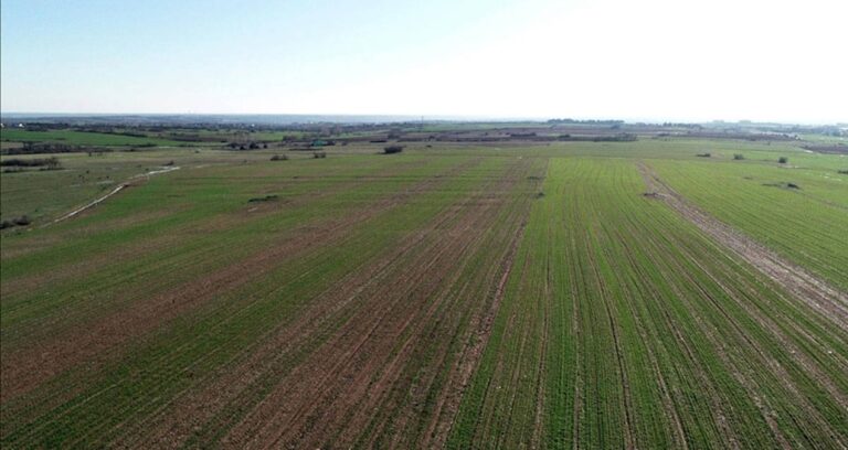 devlet vatandasa degil isgalciye tapu veriyor w6hdtrBz