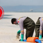 yuzlerce orkinos kiyiya vurdu altindan ne cikti lBqFmsWP