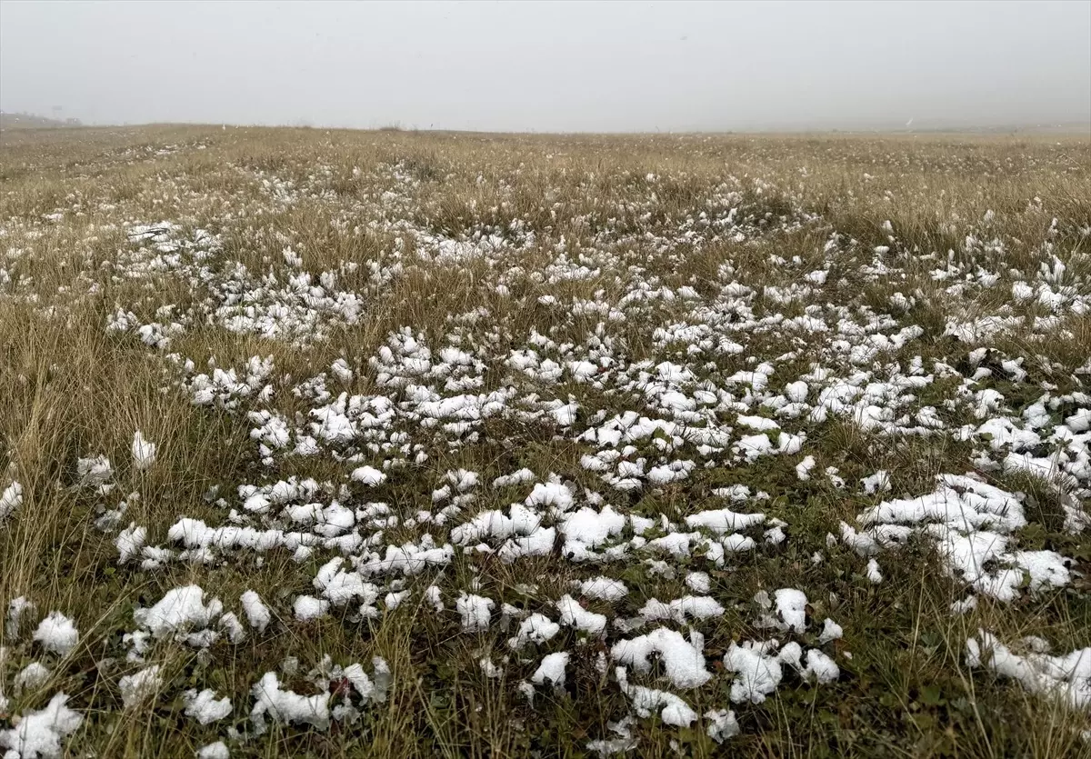 ardahanda eylulde kar yagisi dztMFSt7