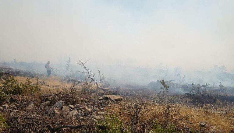 mardinde alevler 5 saatte sonduruldu GHJju6FP