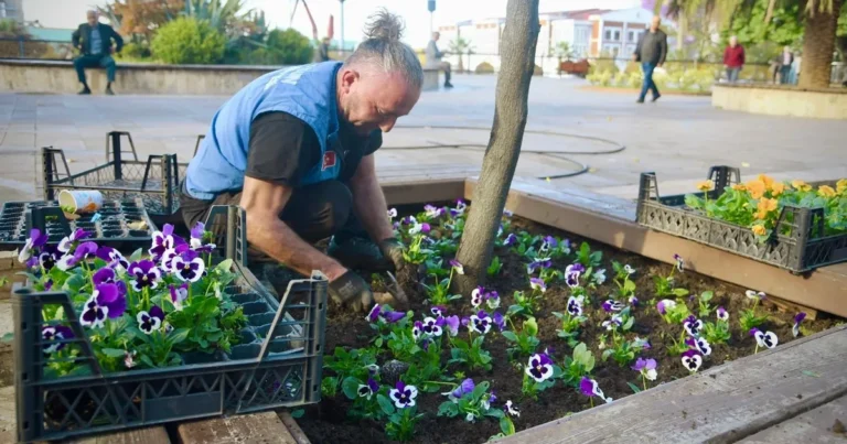 giresuna yeniden bahar geldi yETmbxme.webp