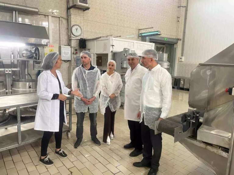 tkdk bursa kestane sekerini inceledi XZ4O9nRT