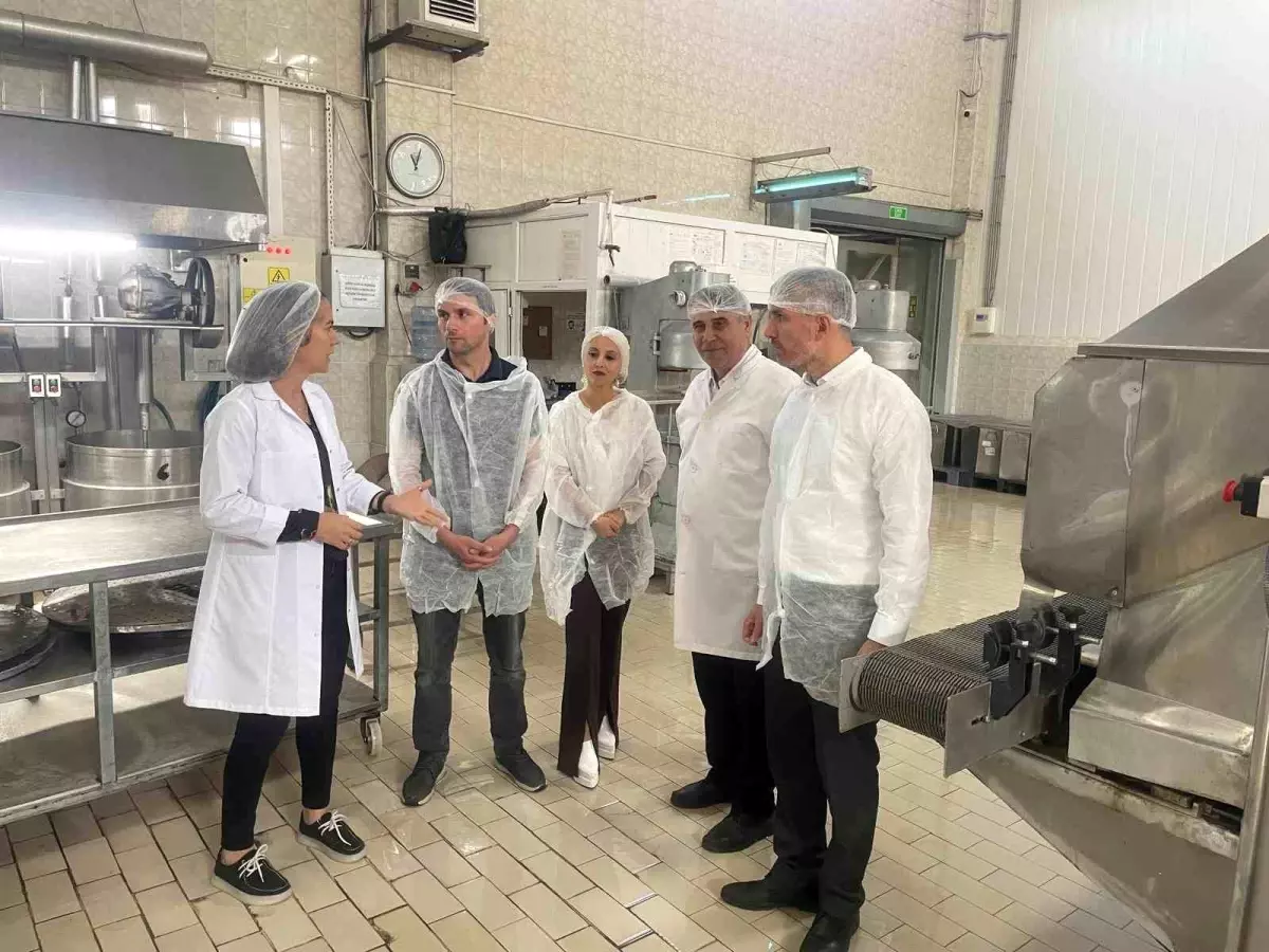 tkdk bursa kestane sekerini inceledi XZ4O9nRT